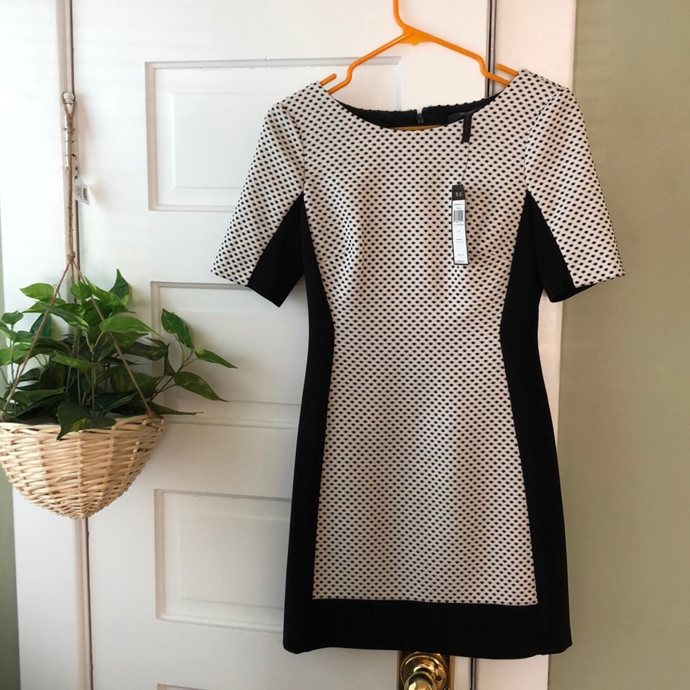 BCBG Paris Black and White Mini Dress